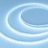 Лента светодиодная RT-A120-5mm 24V Cool 15K (9.6 W/m, IP20, 2835, 5m) (Arlight, 9.6 Вт/м, IP20)